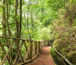 Walking La Palma, Canary Islands