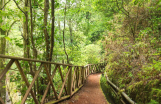 Walking La Palma, Canary Islands