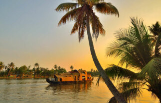 India Walking Tour – Kerala