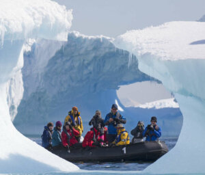 Antarctica Wildlife Tour