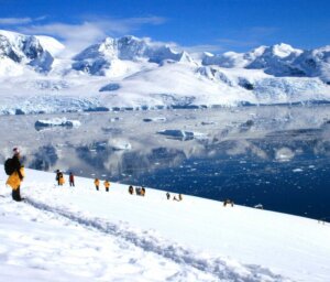 Antarctica Wildlife Adventure – Fly and Cruise