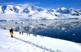 Antarctica Wildlife Adventure – Fly and Cruise