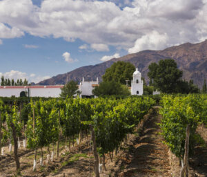 Wine and Landscapes of Argentina’s Northwest