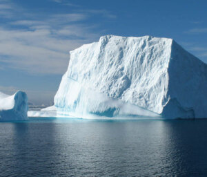 Fly and Cruise Antarctica Wildlife Tour