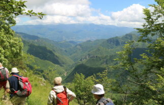 Tuscany Walking and Cultural Tour