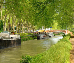 Gently Cycle France’s Canal du Midi