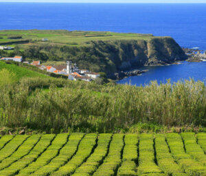 Walking in the Azores Islands