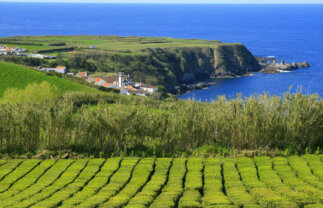 Walking in the Azores Islands