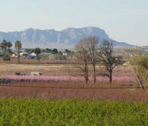 Cycle Southern Spain – Murcia