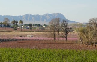 Cycle Southern Spain – Murcia