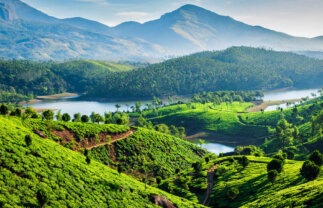 Kerala Discovery India Tour