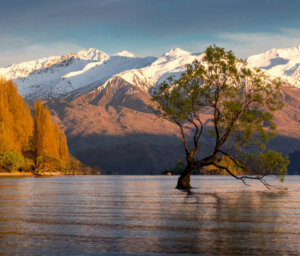 New Zealand North and South Islands Tour