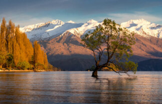 New Zealand North and South Islands Tour