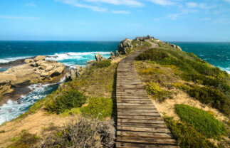 South Africa’s Garden Route