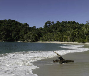 Costa Rica Wildlife Tour