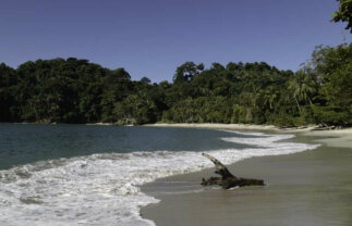 Costa Rica Wildlife Tour