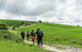 Superb Value South Downs Walk