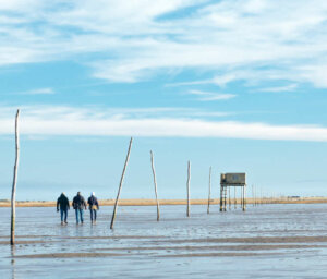 Group Walking Holiday in Northumberland