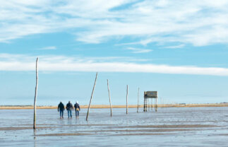 Group Walking Holiday in Northumberland