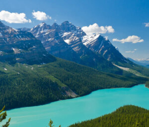 Walking in the Canadian Rockies