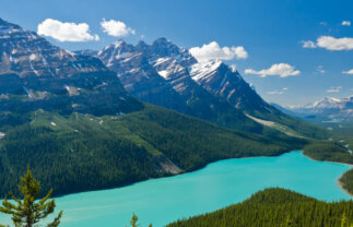 Walking in the Canadian Rockies