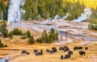 Nature in America – Yellowstone and the Grand Teton National Parks