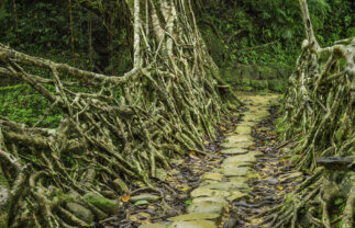 Challenging but Magical Visit to Remote Indian Villages