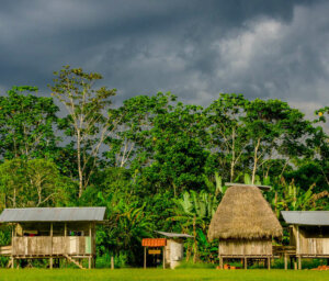 Ecuador Amazon Extension