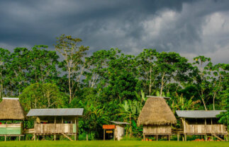 Ecuador Amazon Extension