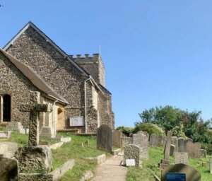 Superb Value South Downs Walk