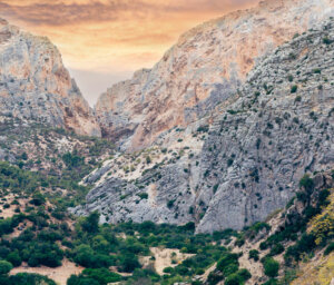 Spain Walking in Rural Andalucia