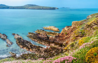 Wales Pembrokeshire Coast Walking