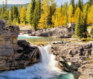 Walking in the Canadian Rockies