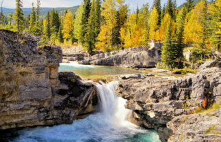 Walking in the Canadian Rockies