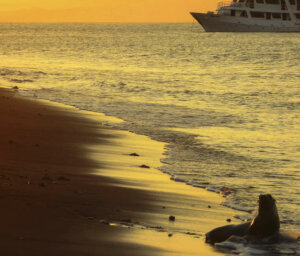 Boat Cruise of Galapagos – West & Central Islands