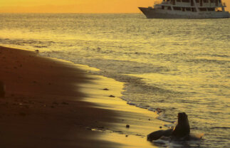 Boat Cruise of Galapagos – West & Central Islands