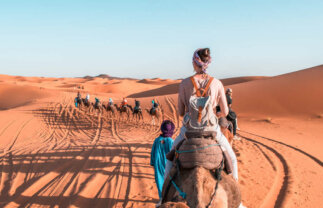 Low-Cost Best of Morocco Tour