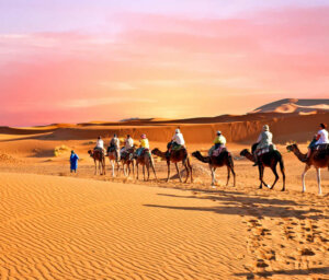 Twenty-Day Tour of Morocco