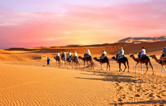 Twenty-Day Tour of Morocco