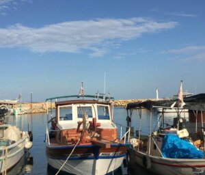 Cycling North Cyprus