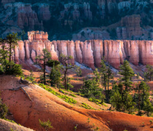 Walking Trip of Western US National Parks