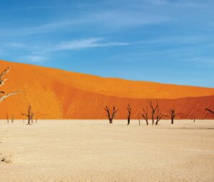 Namibia Lodge Safari