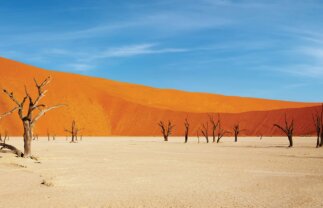 Namibia Lodge Safari