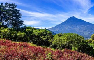 Fantastic Central America Cultural and Nature Adventure