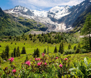 Tour du Mont Blanc Trek