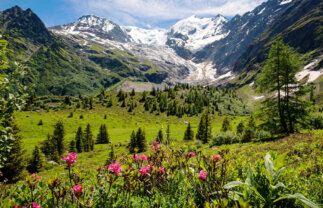 Tour du Mont Blanc Trek