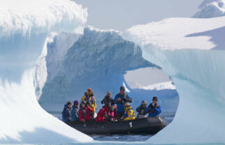 Premium Antarctica and South Georgia – Fly and Cruise