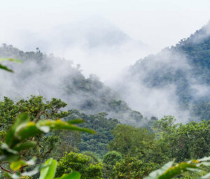 Ecuador Cloud Forest, Volcanoes and the Galapagos