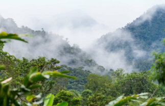 Ecuador Cloud Forest, Volcanoes and the Galapagos