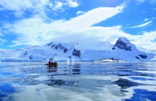 Antarctic Wildlife Tour – Fly and Cruise